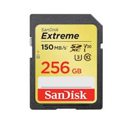 Home -SANDISK SD extreme 256gb