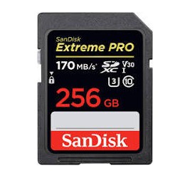 Home -SANDISK SD extreme pro 256gb
