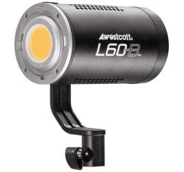 Home -WESTCOTT LED LB60