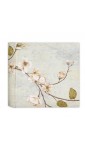Home -ALBUM JARDIN CREAM 25X25 20HOJAS